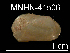  ( - JL-005)  @13 [ ] Unspecified (default): All Rights Reserved  Unspecified Unspecified