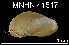  (Idas sp. L - JL-016)  @14 [ ] Unspecified (default): All Rights Reserved  Unspecified Unspecified