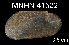  (Idas sp. I - JL-021)  @13 [ ] Unspecified (default): All Rights Reserved  Unspecified Unspecified
