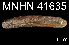  (Idas sp. S1 - JL-133)  @13 [ ] Unspecified (default): All Rights Reserved  Unspecified Unspecified