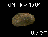  (Idas sp. K - JL-202)  @11 [ ] Unspecified (default): All Rights Reserved  Unspecified Unspecified