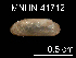  (Idas sp. Q - JL-210)  @12 [ ] Unspecified (default): All Rights Reserved  Unspecified Unspecified