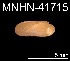  (Idas sp. R - JL-213)  @13 [ ] Unspecified (default): All Rights Reserved  Unspecified Unspecified