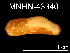  (Adipicola arctuatilis - JL-216)  @13 [ ] Unspecified (default): All Rights Reserved  Unspecified Unspecified