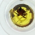 ( - WFEN_045_F9)  @11 [ ] by  Genome Research Ltd as Wellcome Sanger Institute Genome Research Limited operating as Wellcome Sanger Institute