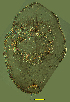  ( - ww01765)  @11 [ ] Unspecified (default): All Rights Reserved  Unspecified Unspecified