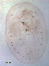  ( - ww00632)  @11 [ ] Unspecified (default): All Rights Reserved  Unspecified Unspecified