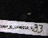  ( - WGP_IS_CAN0218_SL33)  @12 [ ] CreativeCommons - Attribution Non-Commercial Share-Alike (2012) Iiro Salminen University of Eastern Finland