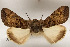  ( - 26081-000000-KE)  @11 [ ] Copyright (2020) Larry Gall Yale University