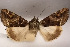  ( - 26082-280523-KE)  @11 [ ] Copyright (2020) Larry Gall Yale University