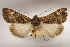  ( - 26083-030439-ET)  @11 [ ] Copyright (2020) Larry Gall Yale University