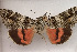  ( - 26085-140707-AL)  @11 [ ] Copyright (2020) Larry Gall Yale University