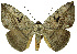  ( - 27082-010721-CH)  @11 [ ] Copyright (2024) Robert Borth Unspecified