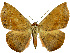  ( - 27083-150317-VI)  @11 [ ] Copyright (2024) Robert Borth Unspecified