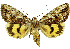  ( - 27084-240775-AF)  @11 [ ] Copyright (2024) Robert Borth Unspecified