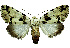  ( - 27090-201119-UG)  @11 [ ] Copyright (2024) Robert Borth Unspecified