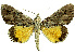  ( - 27091-150323-UG)  @11 [ ] Copyright (2024) Robert Borth Unspecified