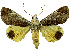  ( - 27092-251100-MA)  @11 [ ] Copyright (2024) Robert Borth Unspecified