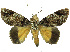  ( - 27095-150323-GA)  @11 [ ] Copyright (2024) Robert Borth Unspecified