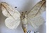  ( - 27102-110221-UG)  @11 [ ] Copyright (2024) Robert Borth Unspecified