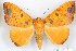  ( - 27109-120221-UG)  @11 [ ] Copyright (2024) Robert Borth Unspecified