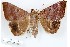  ( - 27112-200423-UG)  @11 [ ] Copyright (2024) Robert Borth Unspecified