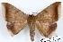  ( - 27115-190221-UG)  @11 [ ] Copyright (2024) Robert Borth Unspecified