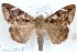  ( - 27116-180221-UG)  @11 [ ] Copyright (2024) Robert Borth Unspecified