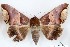  ( - 27118-100319-MA)  @11 [ ] Copyright (2024) Robert Borth Unspecified
