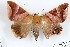  ( - 27119-180221-UG)  @11 [ ] Copyright (2024) Robert Borth Unspecified