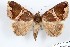  ( - 27120-171119-MA)  @11 [ ] Copyright (2024) Robert Borth Unspecified