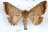  ( - 27121-130319-MA)  @11 [ ] Copyright (2024) Robert Borth Unspecified