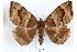  ( - 27122-221119-UG)  @11 [ ] Copyright (2024) Robert Borth Unspecified