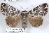  ( - 27139-030708-UG)  @11 [ ] Copyright (2024) Robert Borth Unspecified