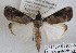  ( - 27145-151109-MA)  @11 [ ] Copyright (2024) Robert Borth Unspecified