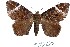  ( - 27167-180423-UG)  @11 [ ] Copyright (2024) Robert Borth Unspecified
