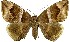  ( - 27168-150423-UG)  @11 [ ] Copyright (2024) Robert Borth Unspecified