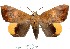  ( - 27169-110423-UG)  @11 [ ] Copyright (2024) Robert Borth Unspecified