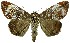  ( - 27171-110423-UG)  @11 [ ] Copyright (2024) Robert Borth Unspecified