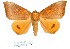  ( - 27175-110221-UG)  @11 [ ] Copyright (2024) Robert Borth Unspecified