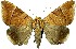  ( - 27176-290423-UG)  @11 [ ] Copyright (2024) Robert Borth Unspecified