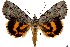  ( - 27189-120724-WI)  @11 [ ] Copyright (2024) Hugo Kons Jr Unspecified