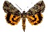  ( - 27190-130724-WI)  @11 [ ] Copyright (2024) Hugo Kons Jr Unspecified