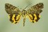  ( - 28012-150606-CH)  @11 [ ] Copyright (2025) Robert Borth Unspecified