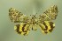  ( - 28014-300621-CH)  @11 [ ] Copyright (2025) Robert Borth Unspecified