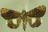  ( - 28022-280404-SL)  @11 [ ] Copyright (2025) Robert Borth Unspecified