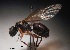  ( - MACN-Bar-Ins-ct 02754)  @12 [ ] Copyright  MACN Museo Argentino Ciencias Naturales "Bernardino Rivadavia"