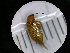  ( - B14_WB3120)  @11 [ ] CreativeCommons  Attribution Share-Alike (2021) M. Volf Biology Center CAS, Institute of Entomology