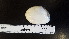  ( - OIMB_053)  @11 [ ] CreativeCommons  Attribution Non-Commercial (2018) Unspecified The Smithsonian Institution National Museum of Natural History, Department of Invertebrate Zoology
