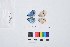  ( - VR0160)  @11 [ ] Copyright (2018) Raluca Voda Universita degli Studi di Torino, Department of Life Sciences and Systems Biology